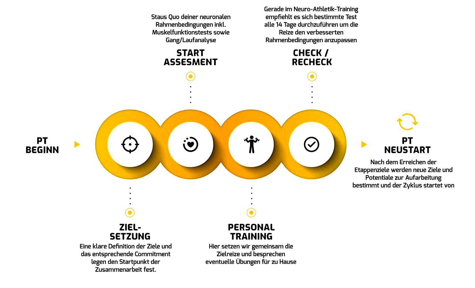 T-Health-Solutions_Neuro-Athletik-Zyklus-scaled